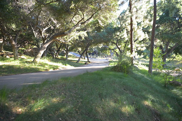 DSC 0589