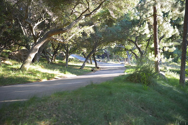 DSC 0593