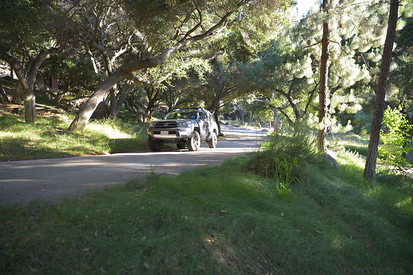 DSC 0530