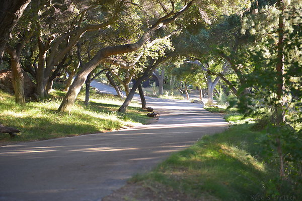 DSC 0573