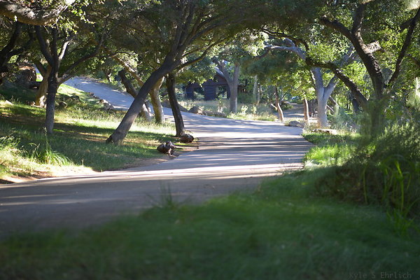DSC 0591