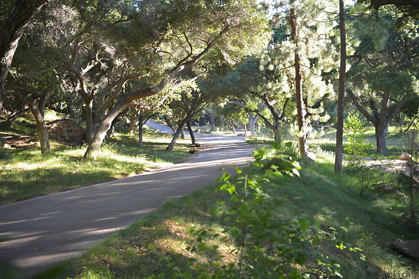 DSC 0581