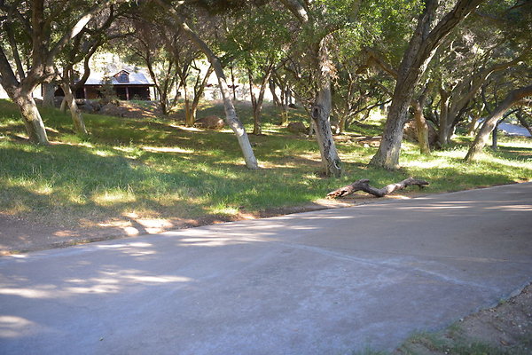 DSC 0574