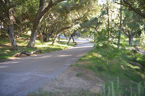 DSC 0575
