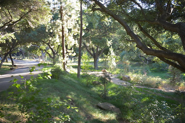 DSC 0582