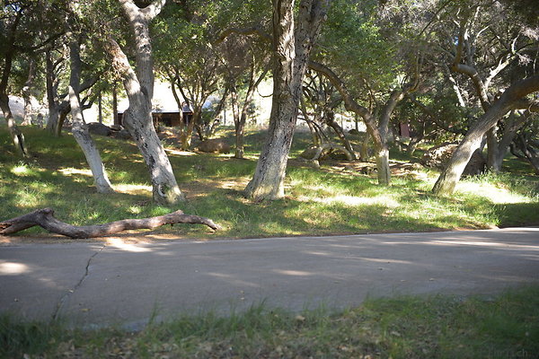 DSC 0527