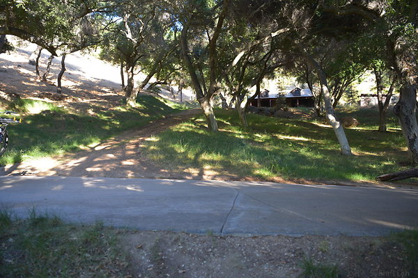 DSC 0602