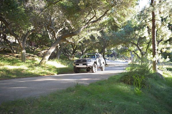 DSC 0528
