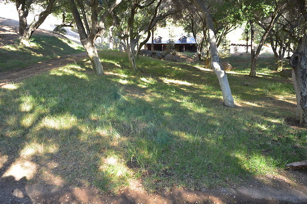 DSC 0615