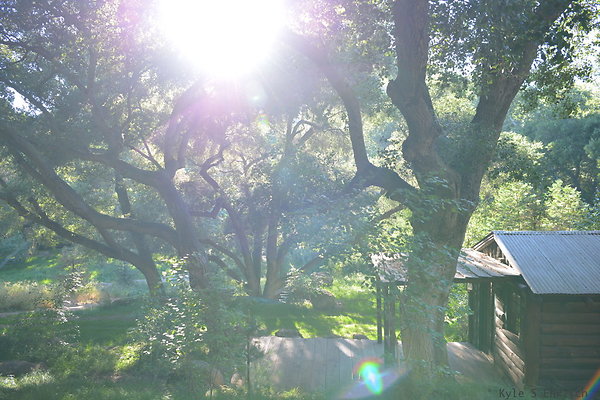 DSC 0610