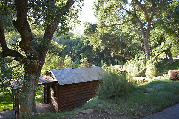 DSC 0611