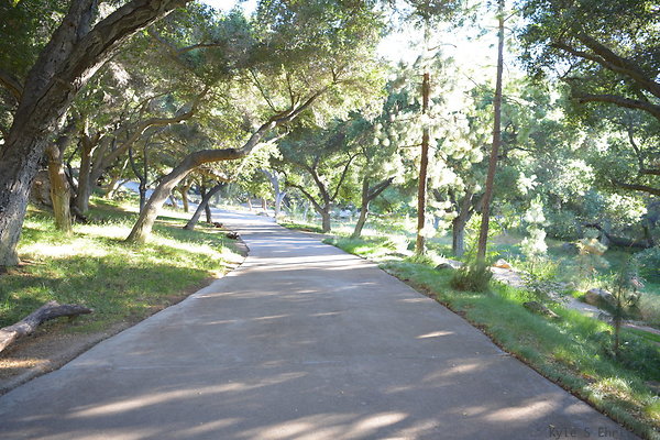 DSC 0617
