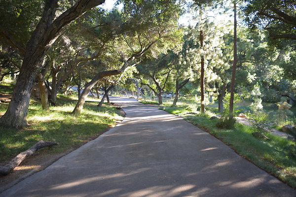 DSC 0608