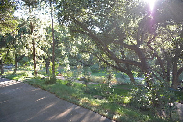 DSC 0609