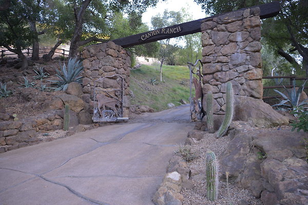 DSC 1016