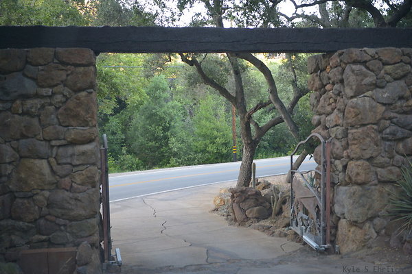 DSC 0996