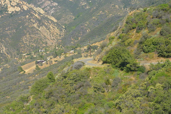 DSC 2584