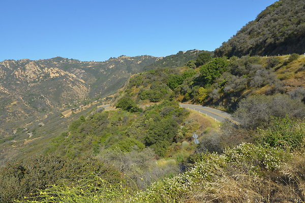 DSC 2582