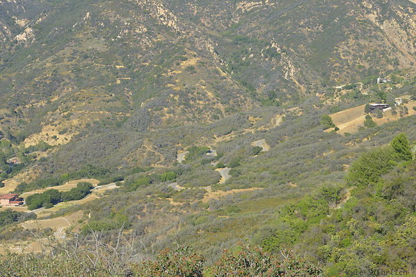 DSC 2585