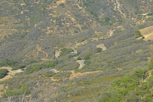 DSC 2586