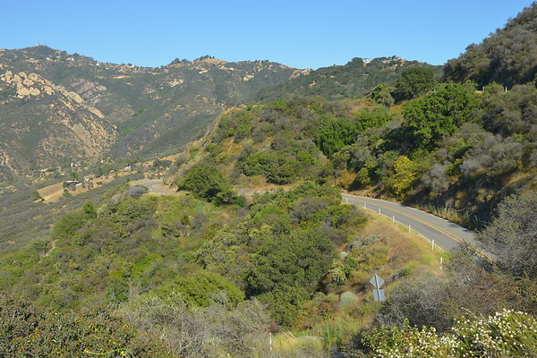 DSC 2589