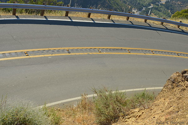 DSC 2542