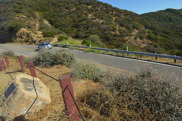 DSC 2561