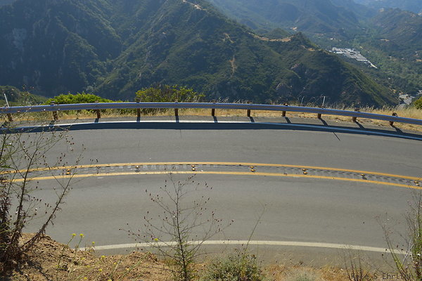 DSC 2546