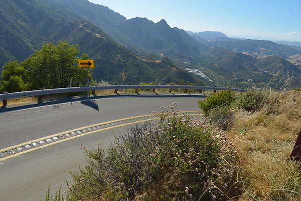 DSC 2539