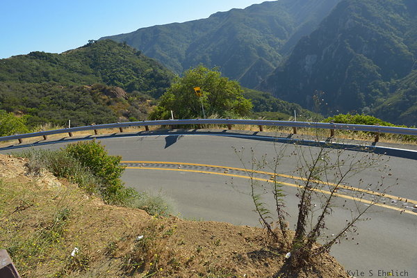 DSC 2549