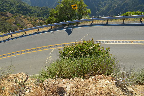DSC 2543