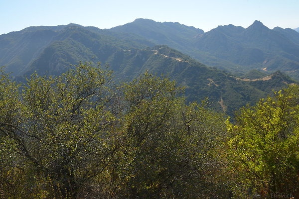 DSC 2503