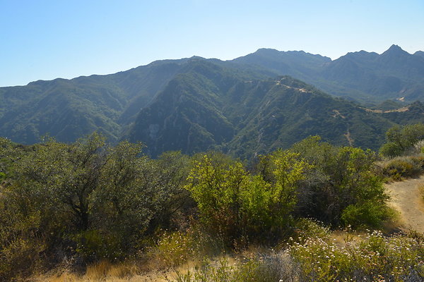 DSC 2491