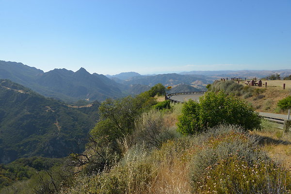 DSC 2471
