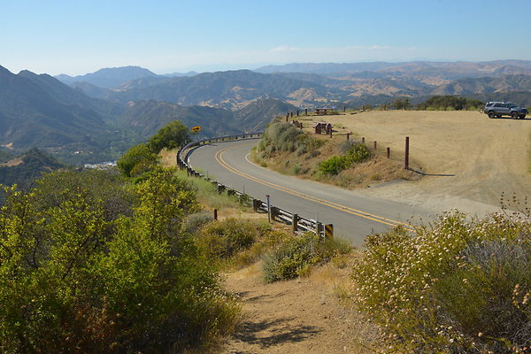 DSC 2504