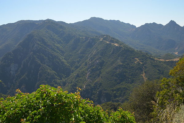DSC 2416