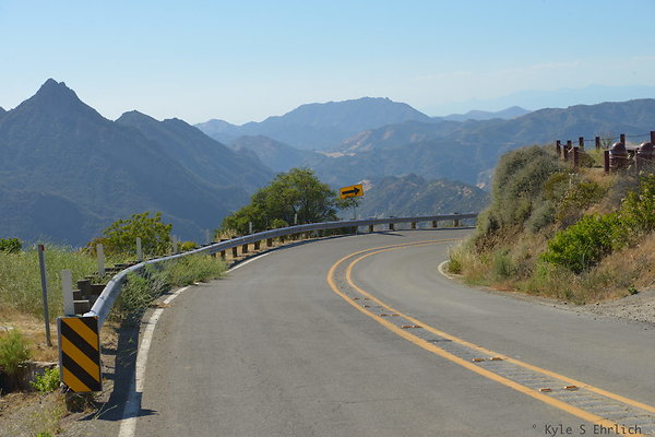 DSC 2516