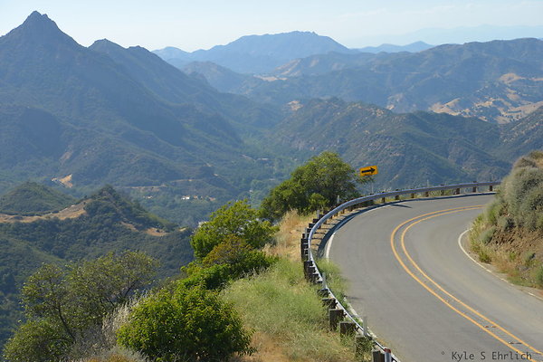DSC 2496