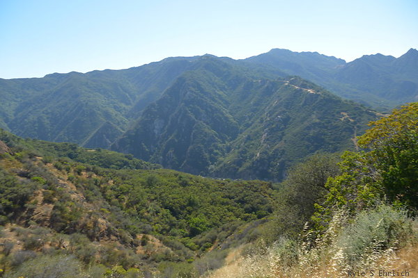DSC 2388