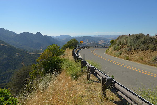 DSC 2419