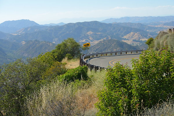 DSC 2473