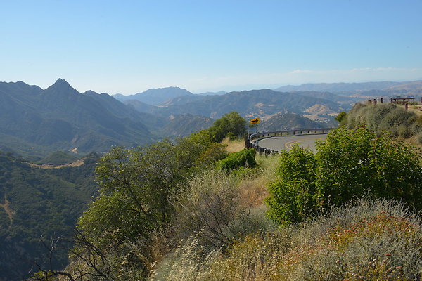DSC 2475