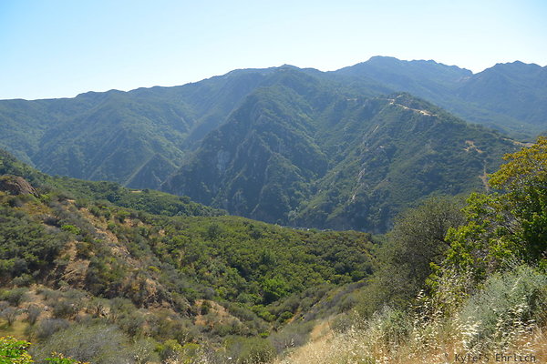 DSC 2379