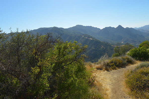 DSC 2485