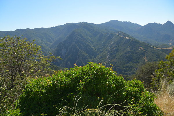 DSC 2400