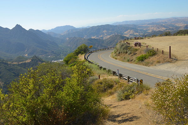 DSC 2501