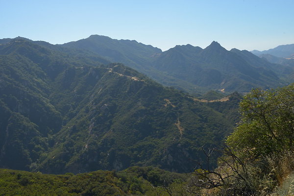 DSC 2474