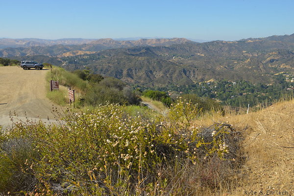 DSC 2505