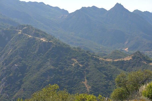 DSC 2497