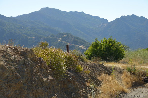 DSC 2515